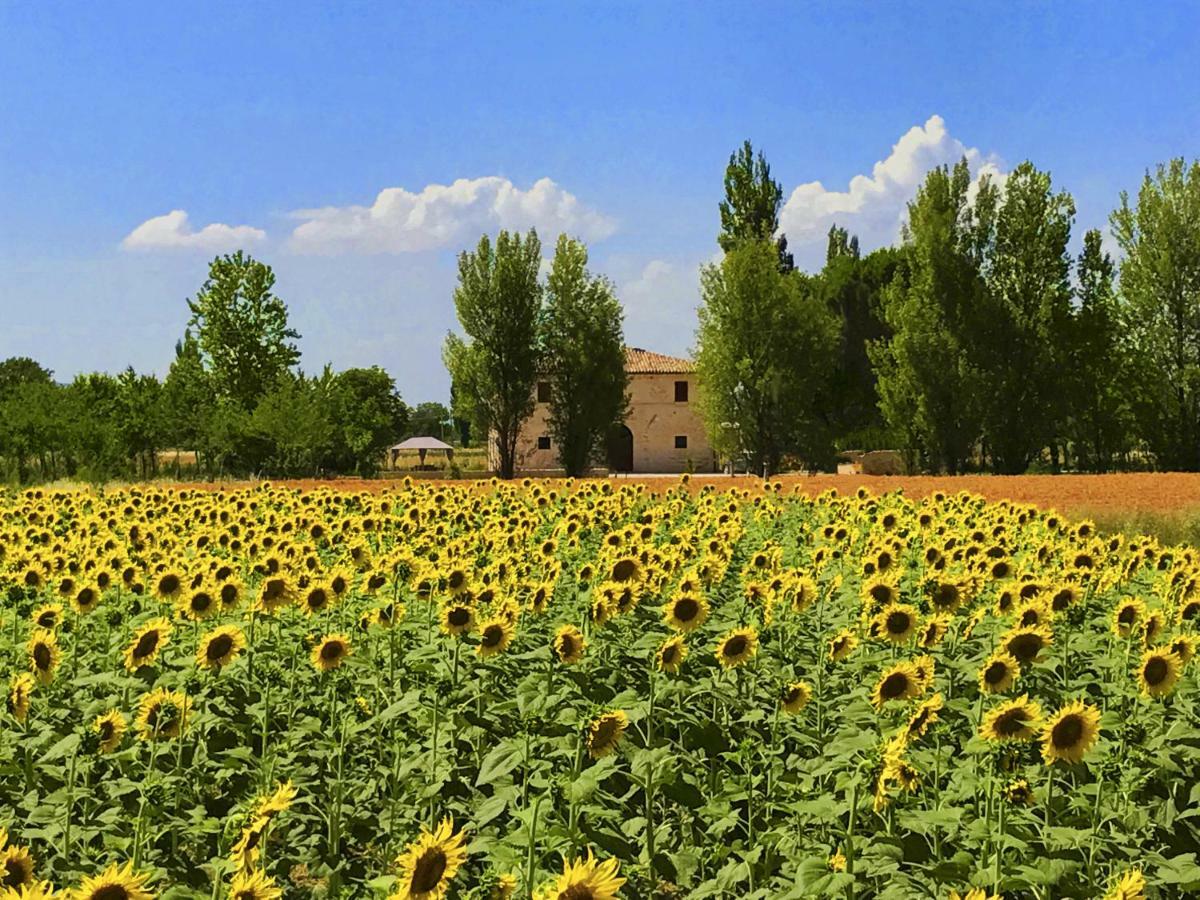 Villa Licinia โฟลีโญ ภายนอก รูปภาพ
